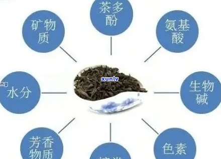 普洱茶中的氨基酸成分：真相解密与健益处分析