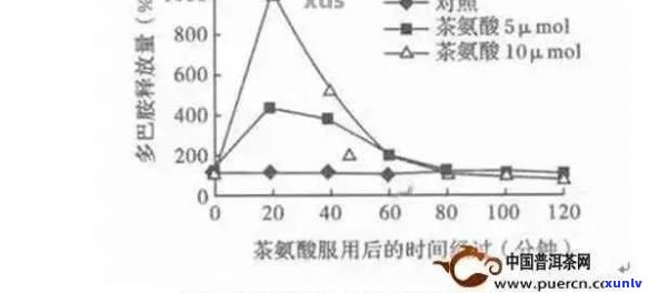 普洱茶中的氨基酸成分：真相解密与健益处分析