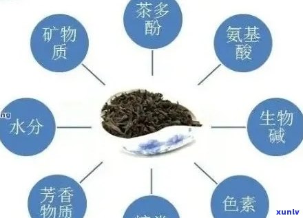 普洱茶有氨基酸吗？普洱茶中的氨基酸含量如何？生茶和熟茶的差异在哪里？