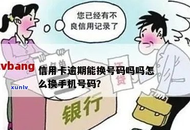 信用卡逾期，手机号丢失：如何处理？