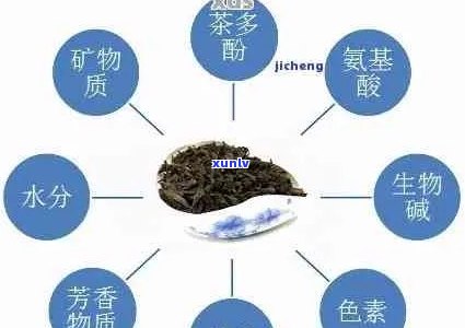 普洱茶的 *** 原料及其作用：全面了解普洱茶的配料