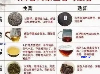 88青普洱茶全解：品饮、选购、冲泡与收藏，一篇解答所有疑问