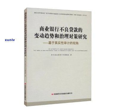 应对银行不良贷款：策略、案例与实践