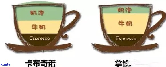 拿铁和普洱茶的区别