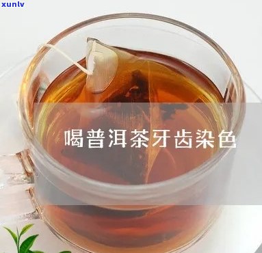 翡翠豆种飘绿叶子