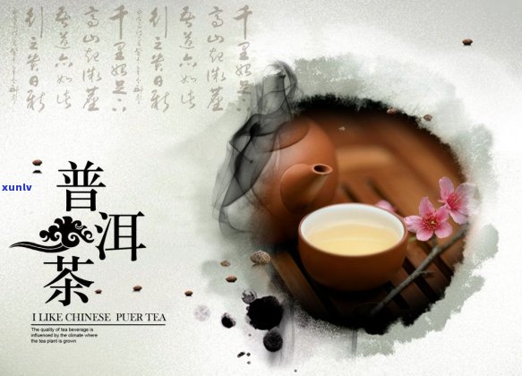 普洱茶茶人：探索普洱茶的世界，品味茶文化的魅力