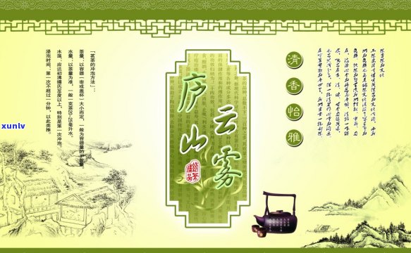 普洱茶茶人：探索普洱茶的世界，品味茶文化的魅力