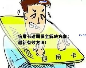 信用卡逾期银行申请保全怎么办：处理步骤与注意事项