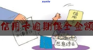 信用卡保全-信用卡保全是什么意思?