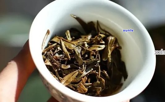 普洱茶的苦味：是否过重？如何平口感与品质？