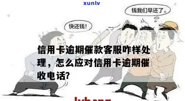 开远市信用卡逾期还款热线：专业解决方案与帮助实现无缝对接