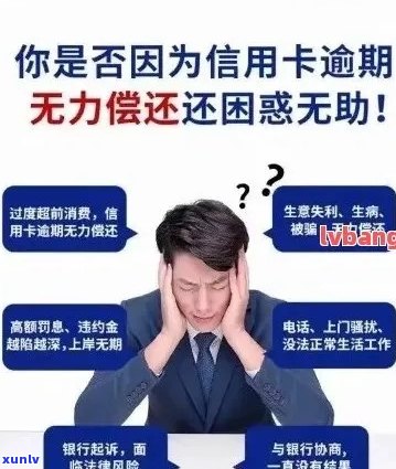 开远市信用卡逾期还款热线：专业解决方案与帮助实现无缝对接