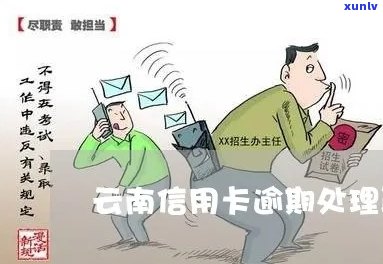 开远市信用卡逾期