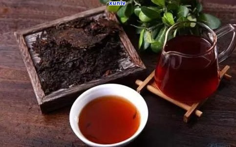 喝普洱茶熟茶有点拉肚子怎么回事？