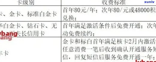 民生银行申请减免审批周期、流程及注意事项，了解详细信息助您顺利办理