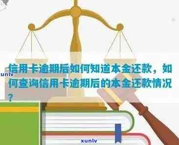 信用卡逾期后如何查询欠款本金及相关账户信息