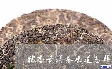 普洱茶糯香和老鼠味