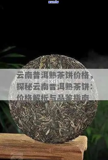 云南普洱茶饼市场行情分析，专业价格查询及投资指南