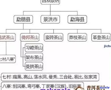 大雪山普洱茶：海拔高度对茶叶特点的影响及全面品鉴指南