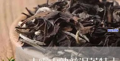 大雪山的普洱茶特点