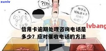 如何接银行信用卡 *** ：举报、业务处理指南