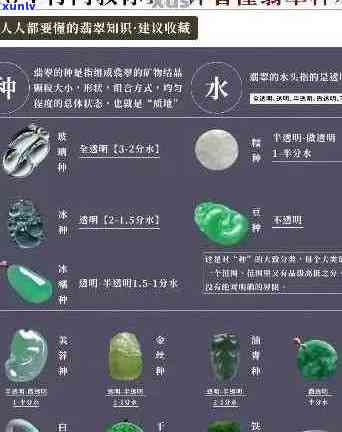 翡翠的选购与鉴赏：讲究与技巧解析