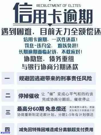 全面解决、房贷和信用卡逾期问题的指南与建议