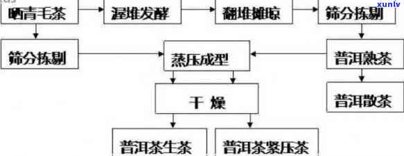 探究优质普洱茶的特征与品质：从原料到工艺的全方位解析