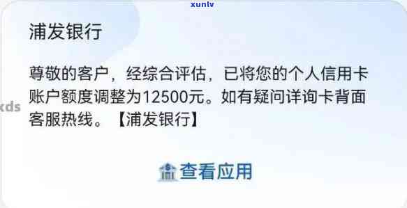 浦发信用卡逾期还款额度查询，如何处理逾期问题？