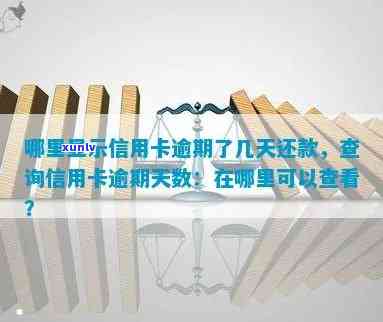 逾期信用卡还款查询全攻略：如何查询应还账款、逾期天数及解决 *** 