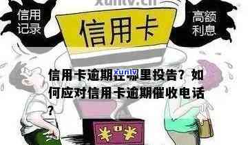 信用卡逾期设置专属 *** 怎么设置：手机操作指南