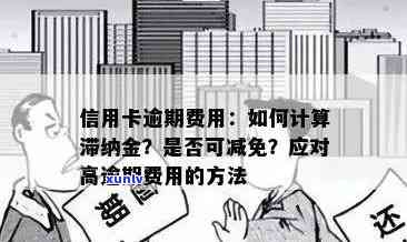 信用卡逾期滞纳金：如何避免高额罚款？