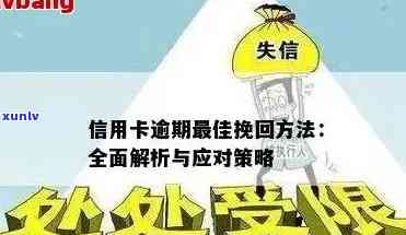 全面了解信用卡逾期情况查询 *** 与解决策略，让您的信用保持完美状态