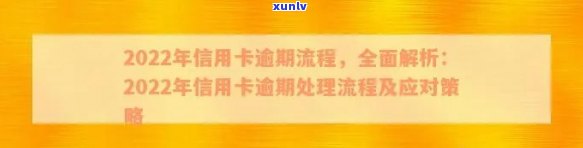 2022年信用卡逾期新法规：全面解析、影响与应对策略，助您轻松避免逾期困扰