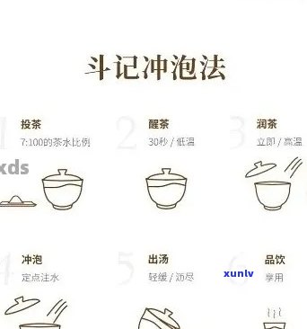 斗记普洱茶官方冲泡指南：品饮秘与技巧解析