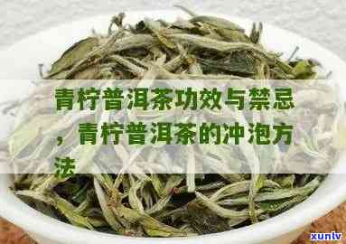 青普洱茶的全面解析：功效、泡法与饮用建议，让你深入了解这款茶叶的奥秘