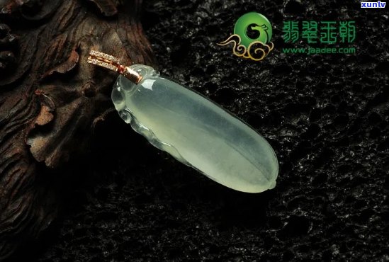 普洱茶采摘的标准和要求：了解如何挑选出优质的普洱茶叶