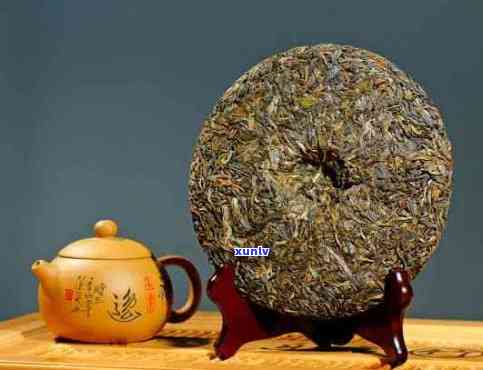 普洱茶的起源与传承：一位传奇茶叶的故事