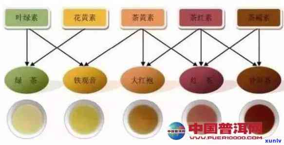 花红茶是否为普洱茶：百度百科解答，探究花红茶的类别与性质