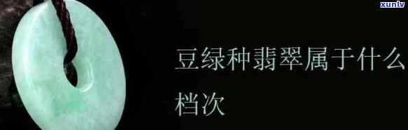 全面了解翡翠豆青种：养护 *** 、生长环境与品种特点，助您轻松拥有美丽植物