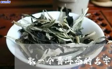 卖普洱茶怎么取名字