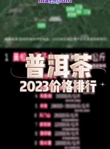 '的普洱茶排名榜最新：2023年、价格、名单及口碑最棒的普洱茶一览'