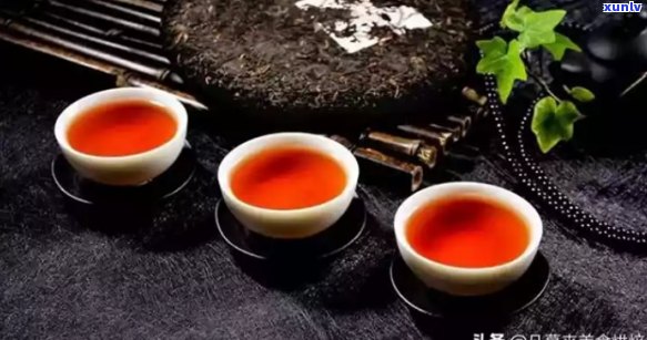 中国普洱茶排行榜：精选一流茶叶，品味越品质