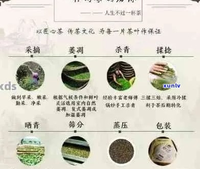 口碑的普洱茶：品质、产地、冲泡 *** 与口感全方位解析