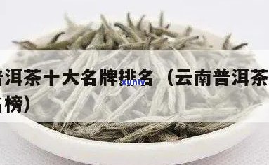 的普洱茶排名榜