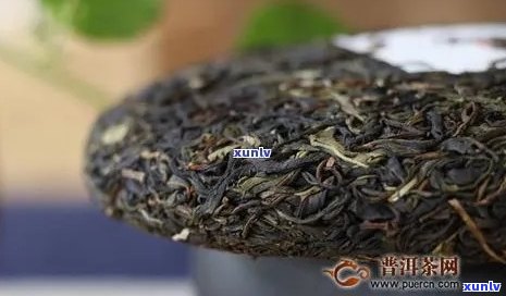 的普洱茶排名榜