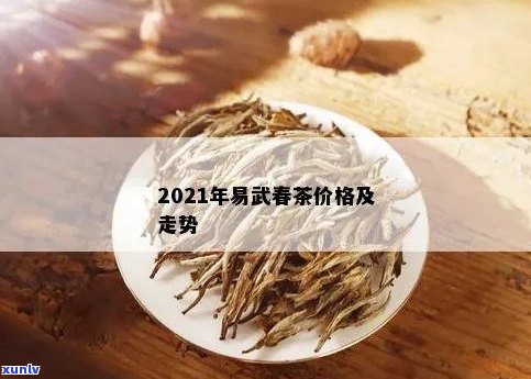 易武早春茶价格及选购指南：了解茶叶品质与市场行情的全面解析