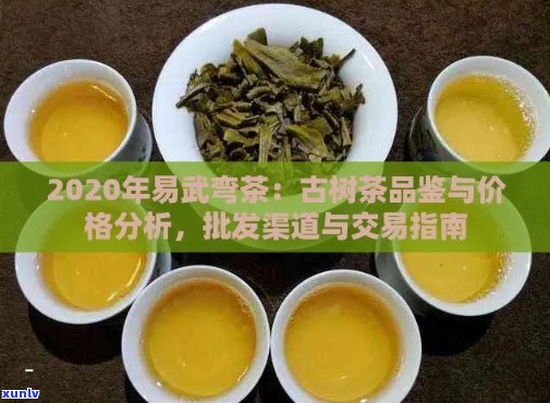 易武早春茶价格及选购指南：了解茶叶品质与市场行情的全面解析