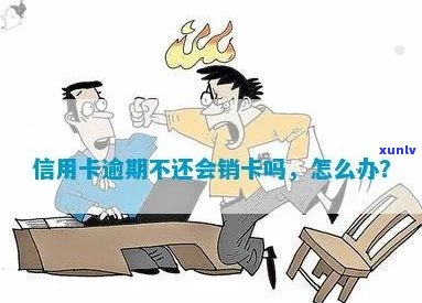 信用卡逾期银行会销户吗？怎么办？有过逾期的信用卡该不该销卡？