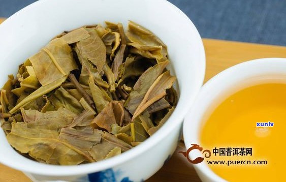 普洱生茶对胃的伤害：真相揭秘，伤胃还是养胃？